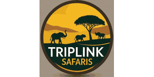 Triplink Safaris Logo