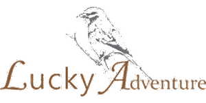 Lucky Adventure Safaris Logo