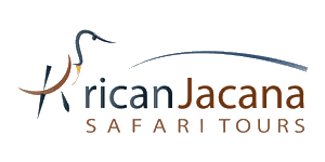 African Jacana Safari Tours Logo