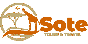 Sote Tours and Travel Logo