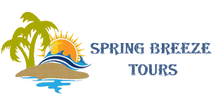 Spring Breeze Tours Logo