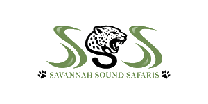 Savannah Sound Safaris