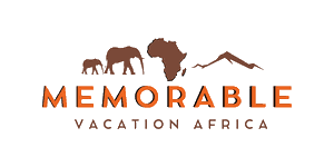 Memorable Vacation Africa