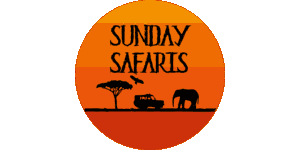 Sunday Safaris 