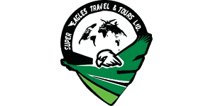 Super Eagles Travel and Tours  Logo