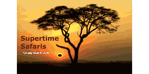 Supertime Safaris Logo