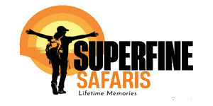 Superfine Safaris Logo