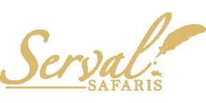 Serval Safaris