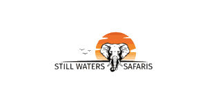 Still Waters Safaris Logo