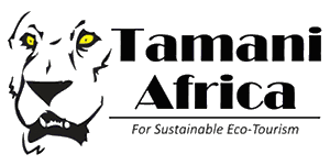 Tamani Africa 