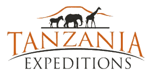 Tanzania Expeditions Logo