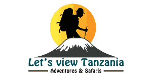 Let's view Tanzania Logo