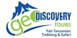 geoDiscovery Tours logo