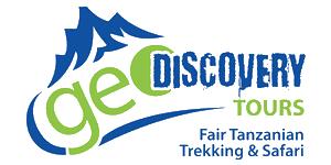 geoDiscovery Tours Logo