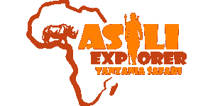Asili Explorer Safaris Logo