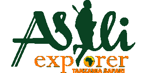 Asili Explorer Safaris