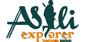 Asili Explorer Safaris Logo