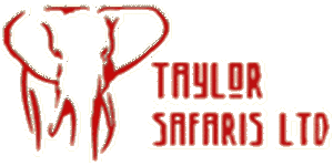 Taylor Safaris 