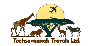 Techsavannah Travels  Logo