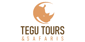 Tegu Tours and Safaris Logo