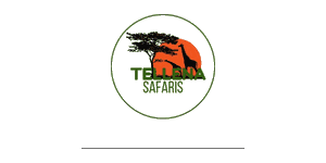 Tellena Tours and Safaris Logo