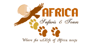 Africabig5safaris and Tours Logo