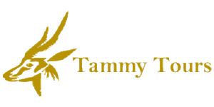 Tammy Tours Logo