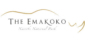 The Emakoko Logo