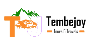 Tembejoy Tours and Travel Logo