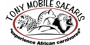 Tony Mobile Safari logo