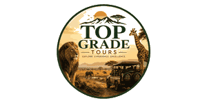 Top Grade Tours and Travel Logo