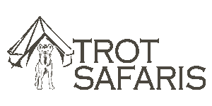 Trot Safaris