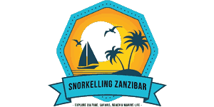 Snorkeling Zanzibar Tours