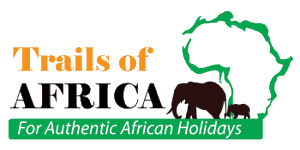 Trails of Africa Tours & Safaris Logo