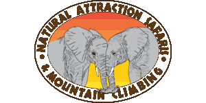 Natural Attraction Safaris logo