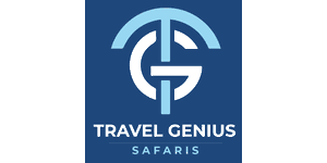 Travel Genius Logo