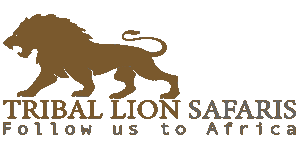 Tribal Lion Safaris Logo