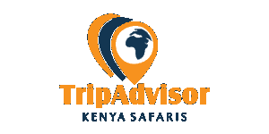 TripAdvisor Kenya Safaris