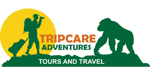 Tripcare Adventures Tours and Travels Logo
