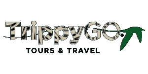 TrippyGo Tours and Travel  Logo
