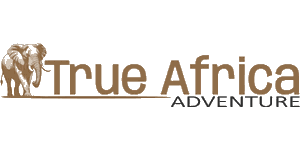 True Africa Adventures Logo