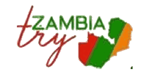Try Zambia Logo