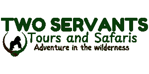 Two Servants Tours and Safaris Logo