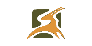 Tanzania Safari Experience
