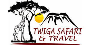 Twiga Safari and Travel