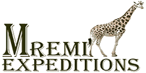 Mremi Expeditions