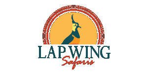 Lapwing Safaris Kenya Logo