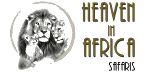 Runway86 – Heaven in Africa Logo