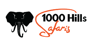 1000 Hills Safaris Logo
