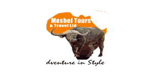 Moshel Tours and Travel Logo